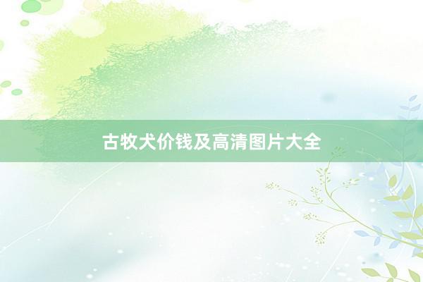 古牧犬价钱及高清图片大全